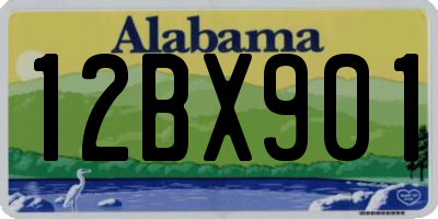 AL license plate 12BX901