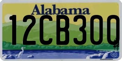 AL license plate 12CB300