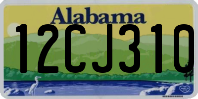 AL license plate 12CJ310