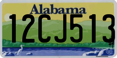 AL license plate 12CJ513