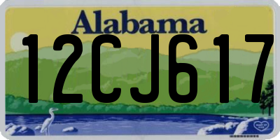 AL license plate 12CJ617