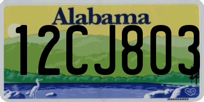 AL license plate 12CJ803