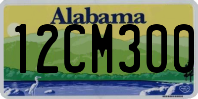 AL license plate 12CM300