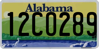 AL license plate 12CO289