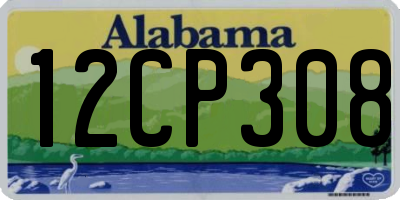AL license plate 12CP308