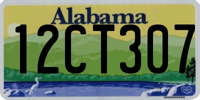 AL license plate 12CT307