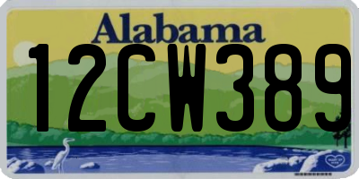 AL license plate 12CW389
