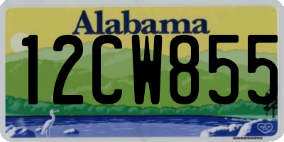 AL license plate 12CW855