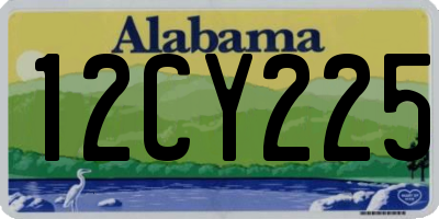 AL license plate 12CY225