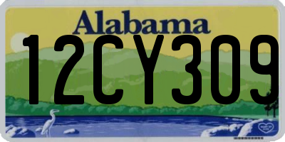 AL license plate 12CY309