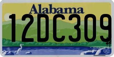 AL license plate 12DC309