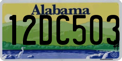 AL license plate 12DC503