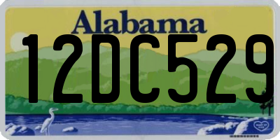 AL license plate 12DC529