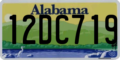 AL license plate 12DC719