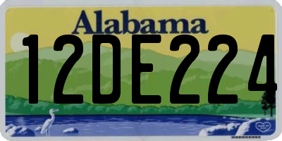 AL license plate 12DE224