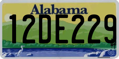 AL license plate 12DE229