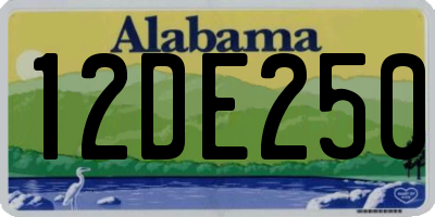 AL license plate 12DE250