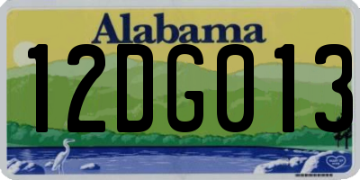 AL license plate 12DG013