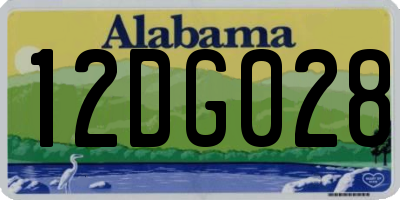 AL license plate 12DG028