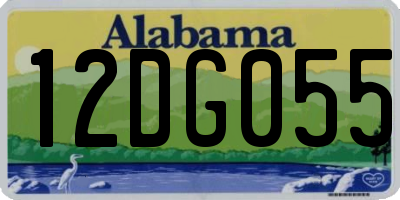 AL license plate 12DG055