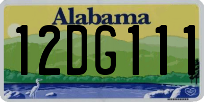 AL license plate 12DG111