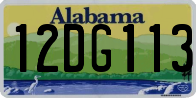 AL license plate 12DG113