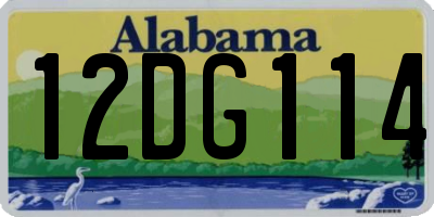 AL license plate 12DG114