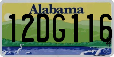 AL license plate 12DG116