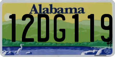 AL license plate 12DG119