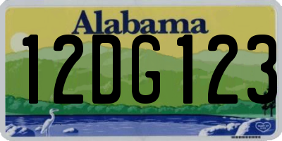 AL license plate 12DG123