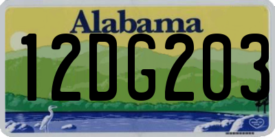 AL license plate 12DG203