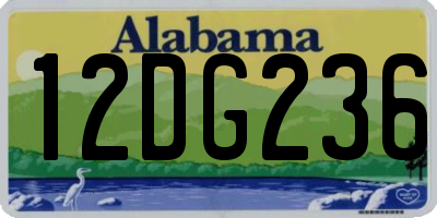 AL license plate 12DG236