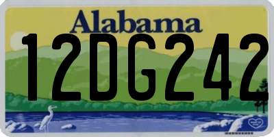 AL license plate 12DG242