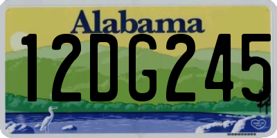 AL license plate 12DG245
