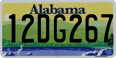 AL license plate 12DG267