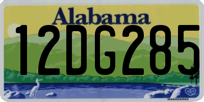 AL license plate 12DG285