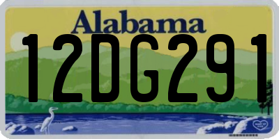 AL license plate 12DG291