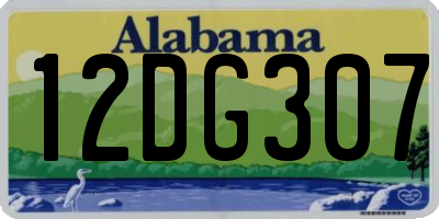 AL license plate 12DG307