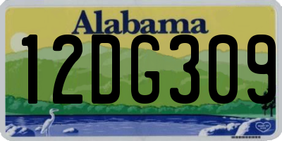 AL license plate 12DG309