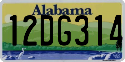 AL license plate 12DG314