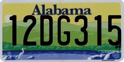 AL license plate 12DG315