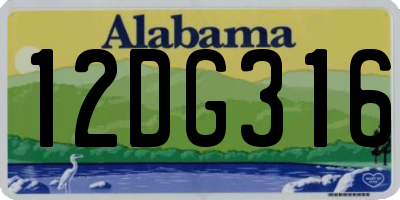 AL license plate 12DG316