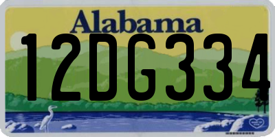 AL license plate 12DG334