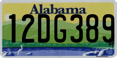 AL license plate 12DG389