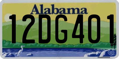 AL license plate 12DG401
