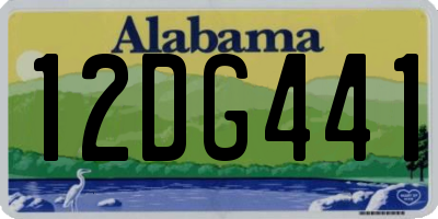 AL license plate 12DG441