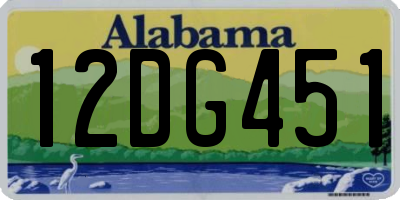 AL license plate 12DG451