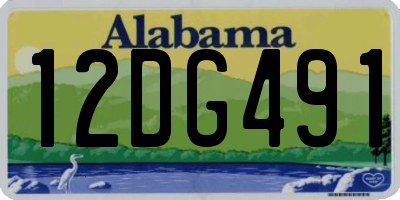 AL license plate 12DG491