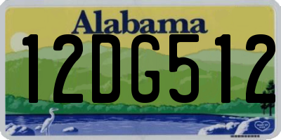 AL license plate 12DG512