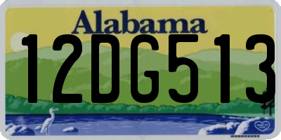 AL license plate 12DG513